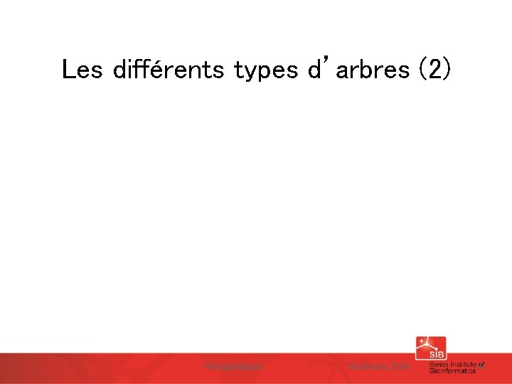 Les différents types d’arbres (2) Phylogénétique Novembre 2009 41 