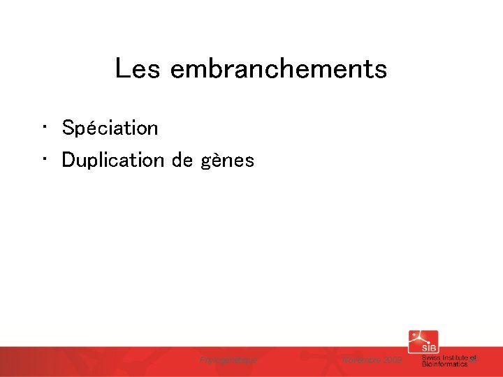 Les embranchements • Spéciation • Duplication de gènes Phylogénétique Novembre 2009 46 