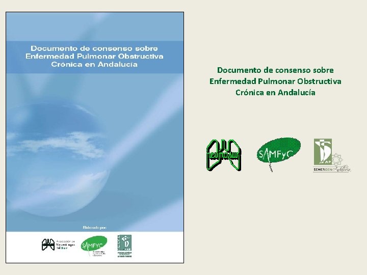 Documento de consenso sobre Enfermedad Pulmonar Obstructiva Crónica en Andalucía 