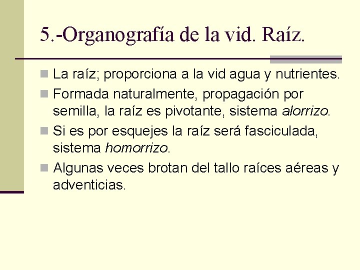 5. -Organografía de la vid. Raíz. n La raíz; proporciona a la vid agua