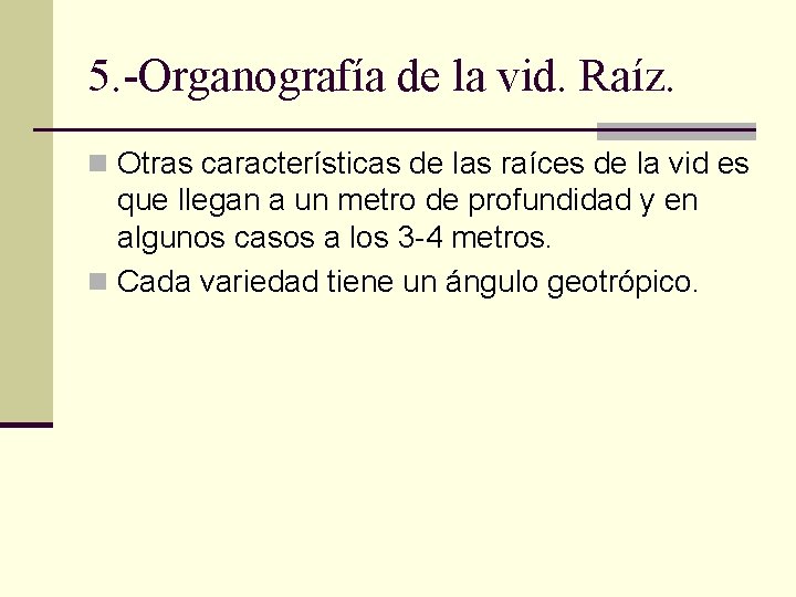 5. -Organografía de la vid. Raíz. n Otras características de las raíces de la