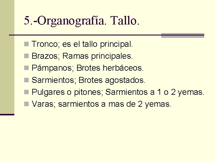 5. -Organografía. Tallo. n Tronco; es el tallo principal. n Brazos; Ramas principales. n