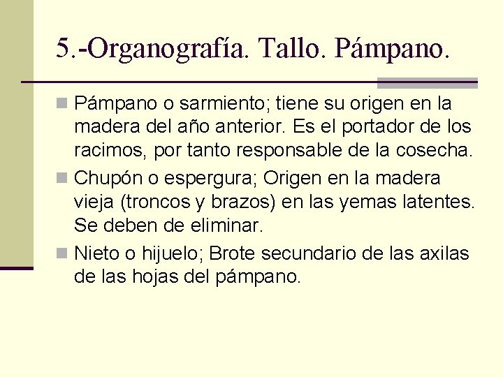 5. -Organografía. Tallo. Pámpano. n Pámpano o sarmiento; tiene su origen en la madera