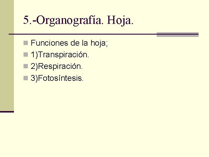 5. -Organografía. Hoja. n Funciones de la hoja; n 1)Transpiración. n 2)Respiración. n 3)Fotosíntesis.