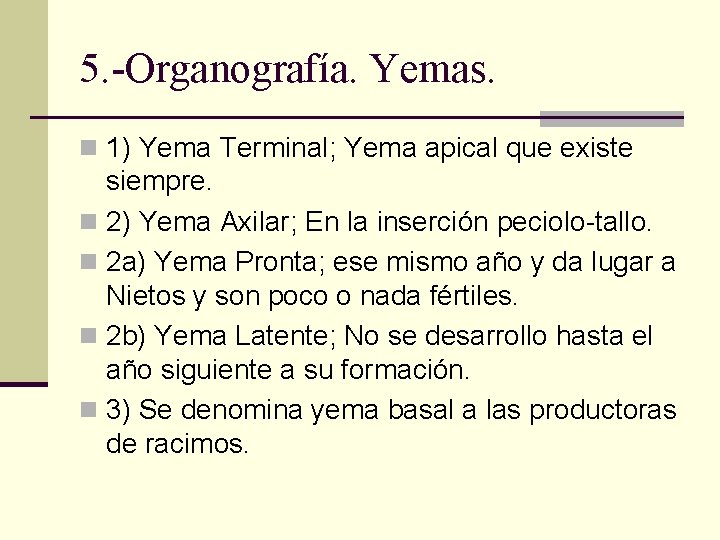 5. -Organografía. Yemas. n 1) Yema Terminal; Yema apical que existe siempre. n 2)