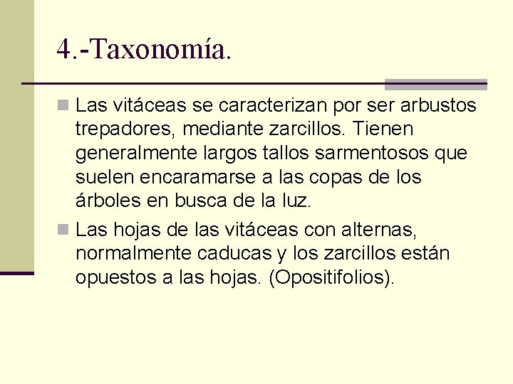 4. -Taxonomía. n Las vitáceas se caracterizan por ser arbustos trepadores, mediante zarcillos. Tienen
