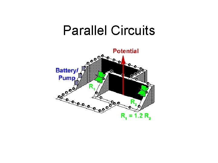 Parallel Circuits 