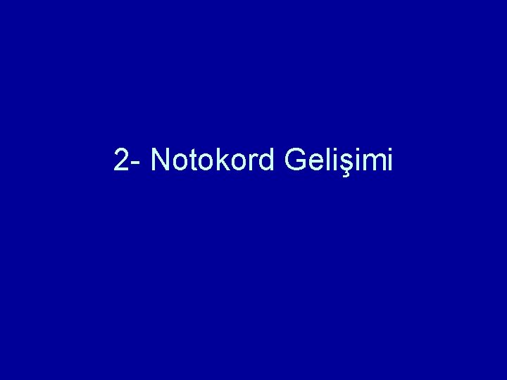2 - Notokord Gelişimi 2 - Notokord Gelişimi
