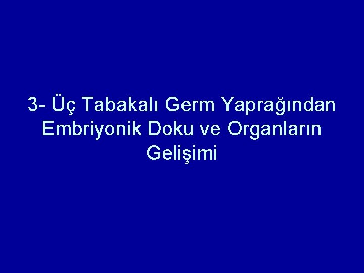 3 - Üç Tabakalı Germ Yaprağından Embriyonik Doku ve Organların Gelişimi 3 - Üç Tabakalı Germ Yaprağından Embriyonik Doku ve Organların Gelişimi