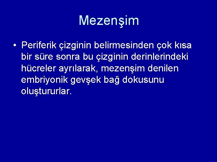 Mezenşim • Periferik çizginin belirmesinden çok kısa bir süre sonra bu çizginin derinlerindeki hücreler Mezenşim • Periferik çizginin belirmesinden çok kısa bir süre sonra bu çizginin derinlerindeki hücreler