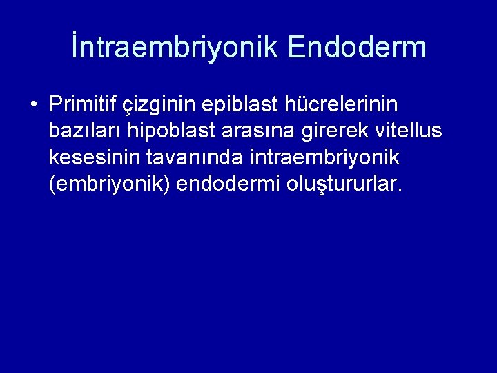 İntraembriyonik Endoderm • Primitif çizginin epiblast hücrelerinin bazıları hipoblast arasına girerek vitellus kesesinin tavanında İntraembriyonik Endoderm • Primitif çizginin epiblast hücrelerinin bazıları hipoblast arasına girerek vitellus kesesinin tavanında