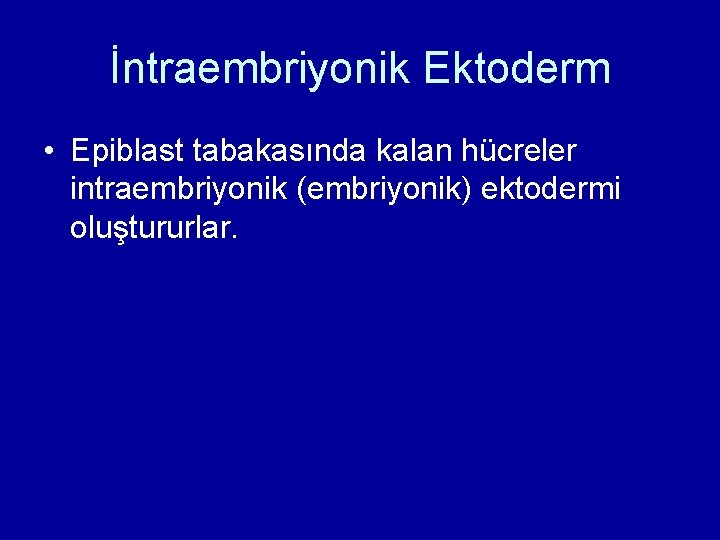 İntraembriyonik Ektoderm • Epiblast tabakasında kalan hücreler intraembriyonik (embriyonik) ektodermi oluştururlar. İntraembriyonik Ektoderm • Epiblast tabakasında kalan hücreler intraembriyonik (embriyonik) ektodermi oluştururlar.