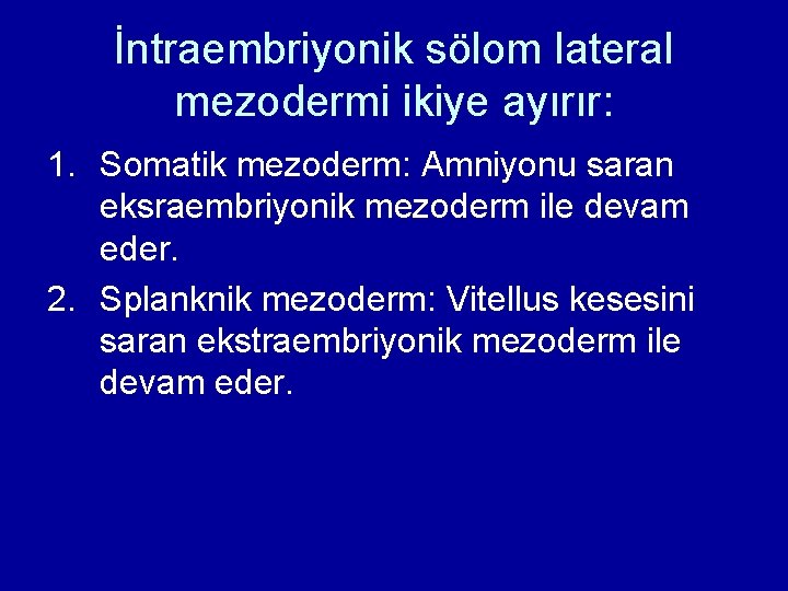 İntraembriyonik sölom lateral mezodermi ikiye ayırır: 1. Somatik mezoderm: Amniyonu saran eksraembriyonik mezoderm ile İntraembriyonik sölom lateral mezodermi ikiye ayırır: 1. Somatik mezoderm: Amniyonu saran eksraembriyonik mezoderm ile
