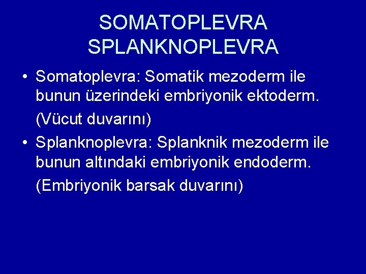 SOMATOPLEVRA SPLANKNOPLEVRA • Somatoplevra: Somatik mezoderm ile bunun üzerindeki embriyonik ektoderm. (Vücut duvarını) • SOMATOPLEVRA SPLANKNOPLEVRA • Somatoplevra: Somatik mezoderm ile bunun üzerindeki embriyonik ektoderm. (Vücut duvarını) •