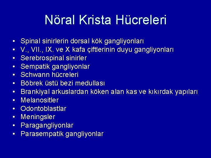 Nöral Krista Hücreleri • • • Spinal sinirlerin dorsal kök gangliyonları V. , VII. Nöral Krista Hücreleri • • • Spinal sinirlerin dorsal kök gangliyonları V. , VII.