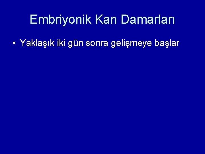 Embriyonik Kan Damarları • Yaklaşık iki gün sonra gelişmeye başlar Embriyonik Kan Damarları • Yaklaşık iki gün sonra gelişmeye başlar