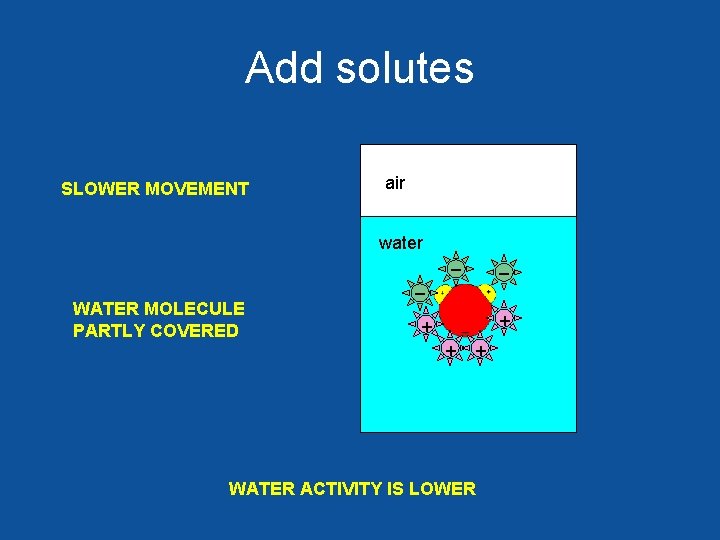 Add solutes SLOWER MOVEMENT air water _ _ _ WATER MOLECULE PARTLY COVERED +