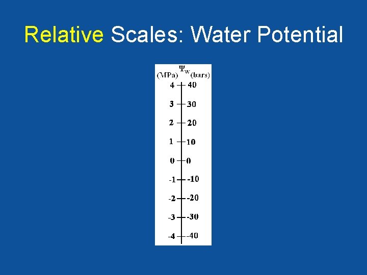 Relative Scales: Water Potential 