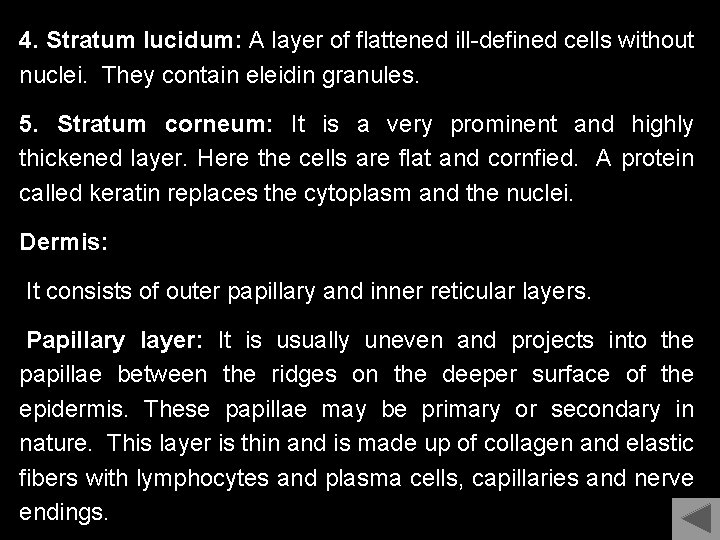 4. Stratum lucidum: A layer of flattened ill-defined cells without nuclei. They contain eleidin