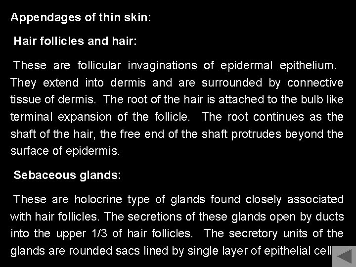 Appendages of thin skin: Hair follicles and hair: These are follicular invaginations of epidermal