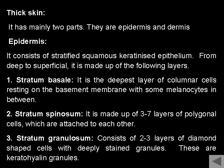 Thick skin: It has mainly two parts. They are epidermis and dermis Epidermis: It