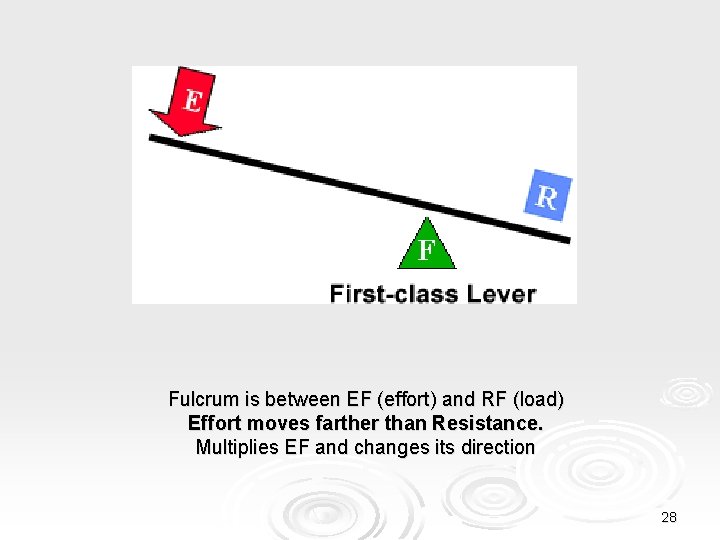Fulcrum is between EF (effort) and RF (load) Effort moves farther than Resistance. Multiplies