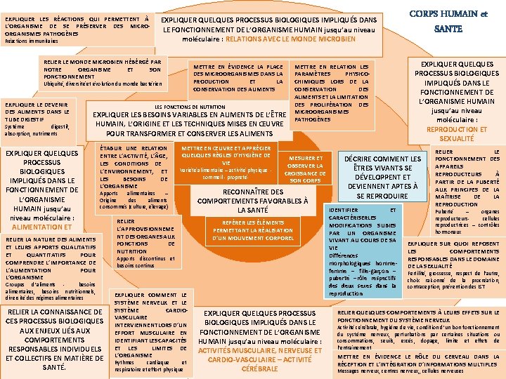 EXPLIQUER LES RÉACTIONS QUI PERMETTENT À L’ORGANISME DE SE PRÉSERVER DES MICROORGANISMES PATHOGÈNES Réactions