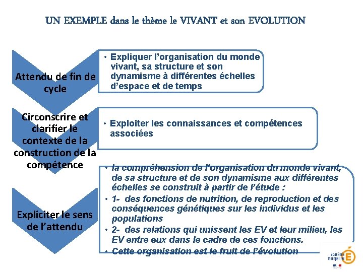 UN EXEMPLE dans le thème le VIVANT et son EVOLUTION • Expliquer l’organisation du