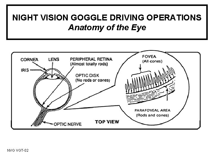 NIGHT VISION GOGGLE DRIVING OPERATIONS Anatomy of the Eye NVG VGT-02 