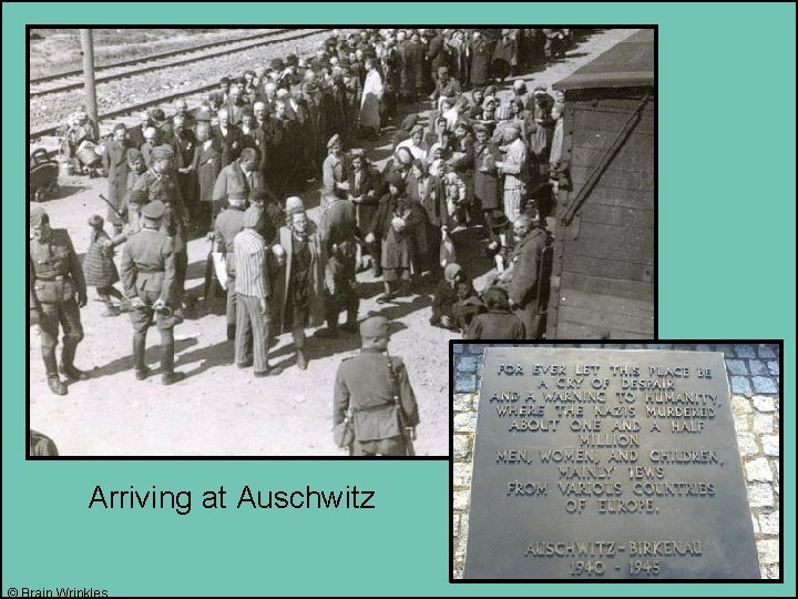 Arriving at Auschwitz © Brain Wrinkles 