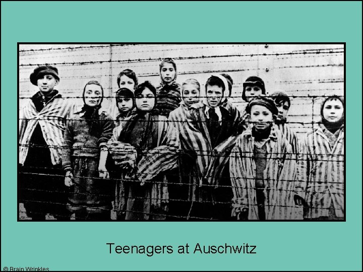 Teenagers at Auschwitz © Brain Wrinkles 