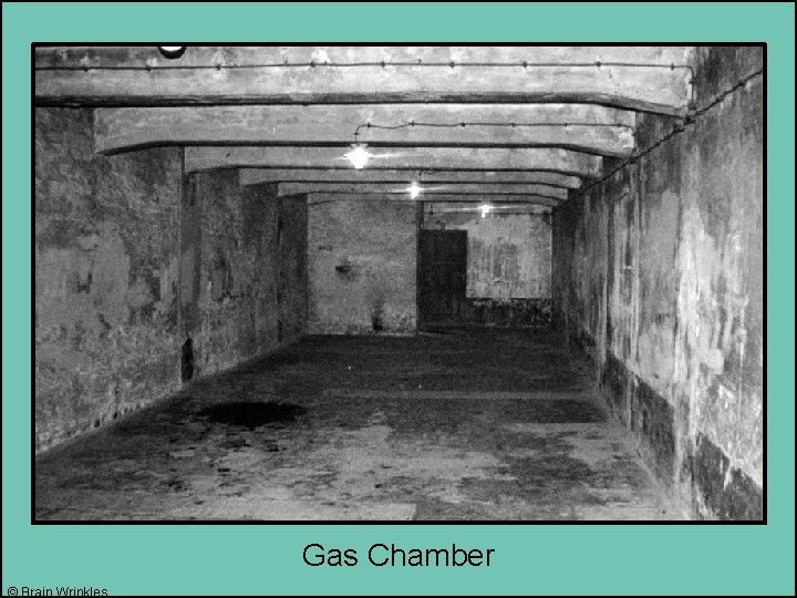 Gas Chamber © Brain Wrinkles 