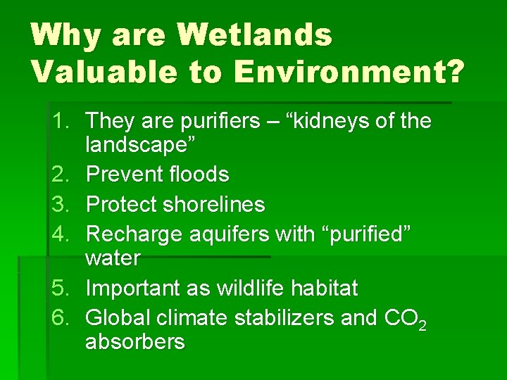 Why are Wetlands Valuable to Environment? 1. They are purifiers – “kidneys of the