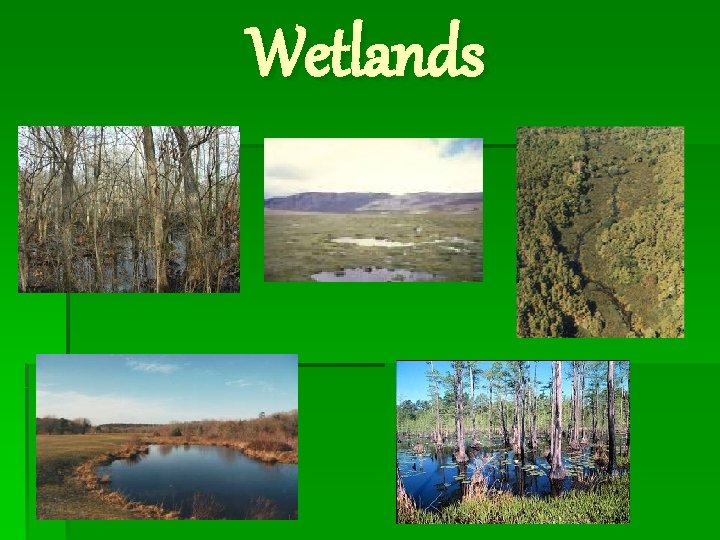 Wetlands 