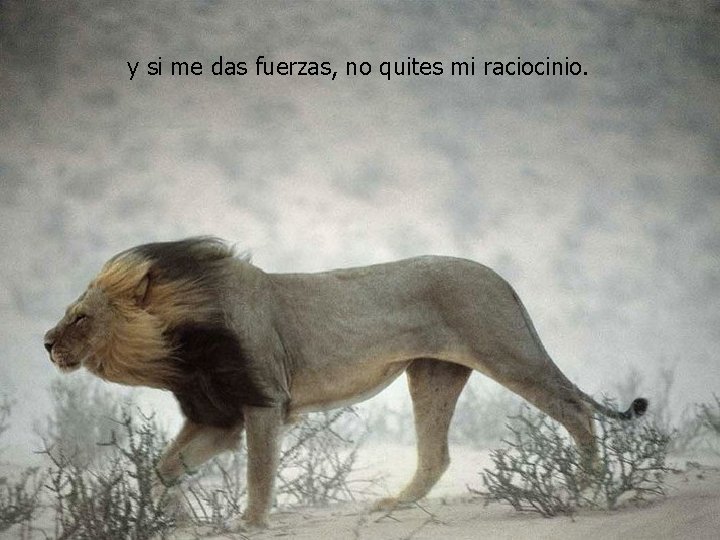 y si me das fuerzas, no quites mi raciocinio. 