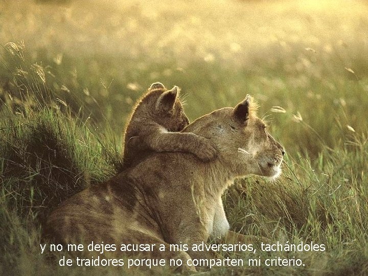 y no me dejes acusar a mis adversarios, tachándoles de traidores porque no comparten
