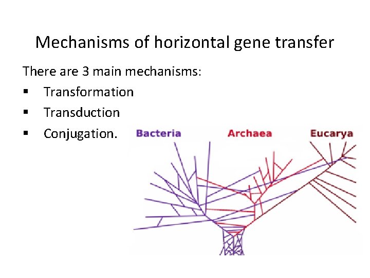 Mechanisms of horizontal gene transfer There are 3 main mechanisms: § Transformation § Transduction