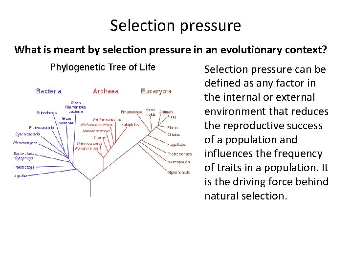 Selection pressure What is meant by selection pressure in an evolutionary context? Selection pressure