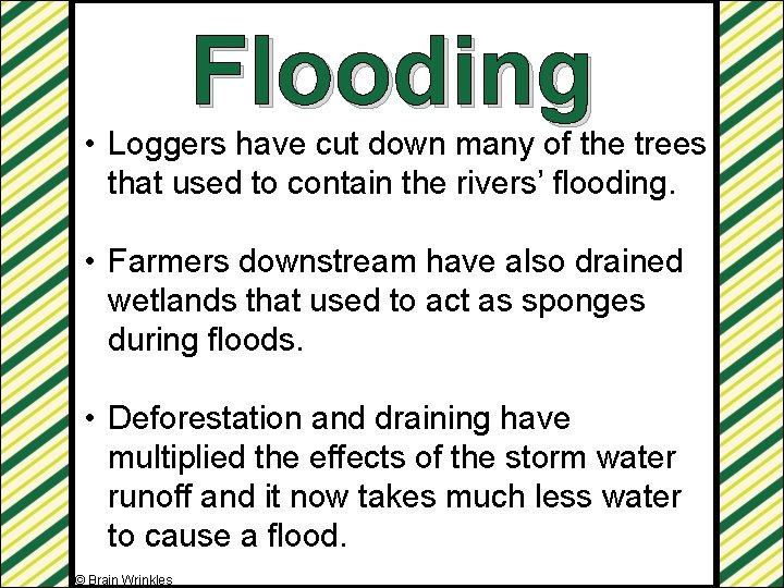 Flooding • Loggers have cut down many of the trees that used to contain