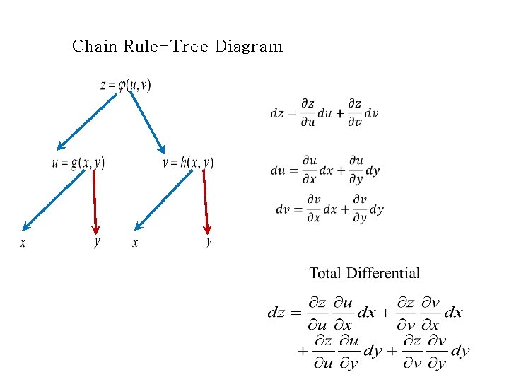 Chain Rule-Tree Diagram 