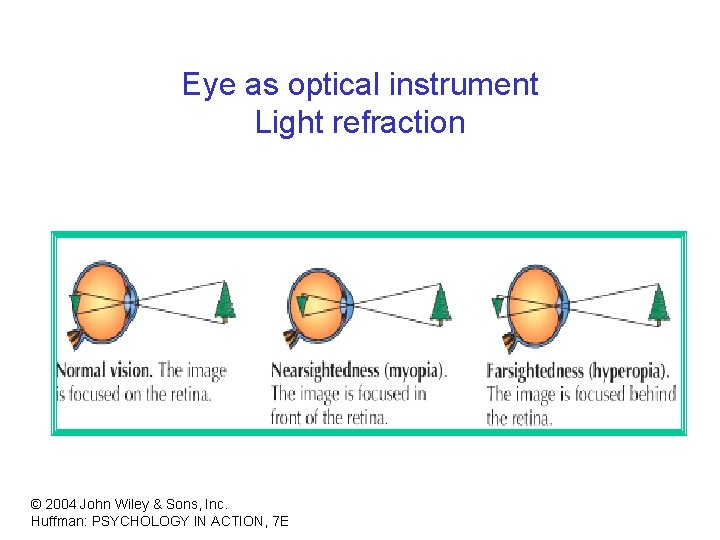 Eye as optical instrument Light refraction © 2004 John Wiley & Sons, Inc. Huffman: