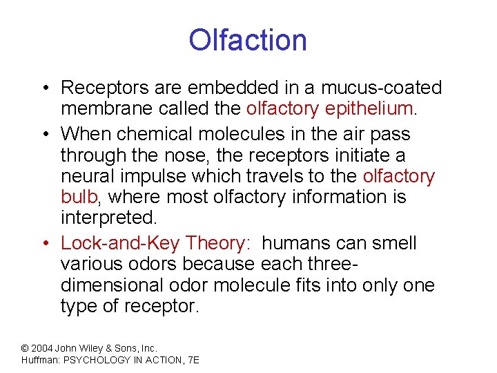 Olfaction • Receptors are embedded in a mucus-coated membrane called the olfactory epithelium. •