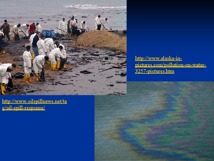 http: //www. alaska-inpictures. com/pollution-on-water 3257 -pictures. htm http: //www. oilspillnews. net/ta g/oil-spill-response/ 