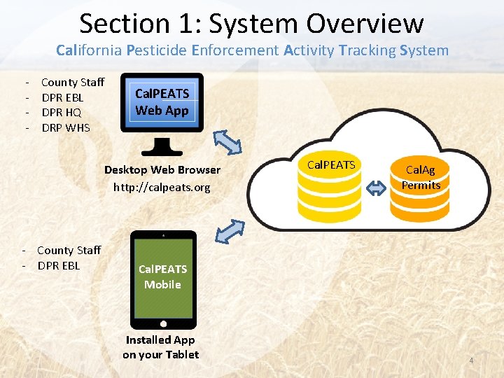 Section 1: System Overview California Pesticide Enforcement Activity Tracking System - County Staff DPR