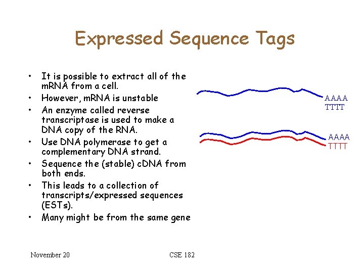 Expressed Sequence Tags • • It is possible to extract all of the m.