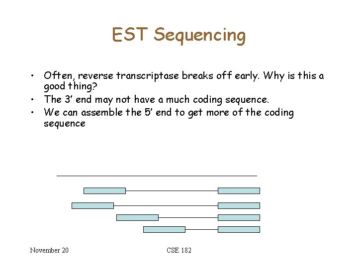 EST Sequencing • Often, reverse transcriptase breaks off early. Why is this a good