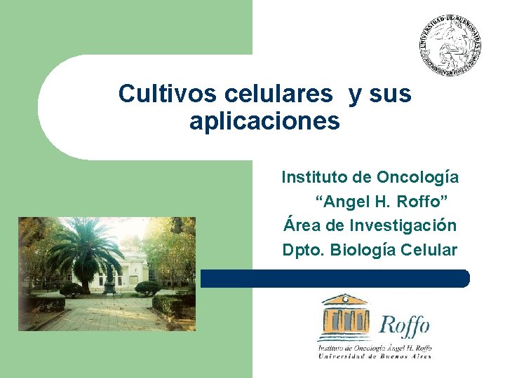 Cultivos celulares y sus aplicaciones Instituto de Oncología “Angel H. Roffo” Área de Investigación