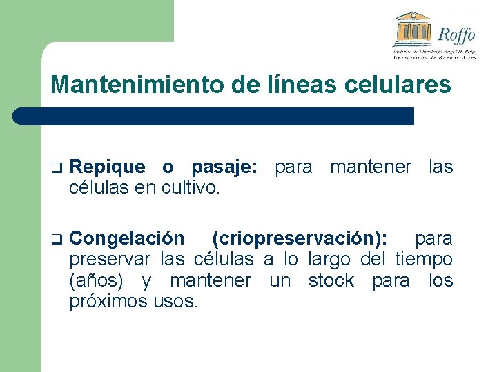 Mantenimiento de líneas celulares q Repique o pasaje: para mantener las células en cultivo.