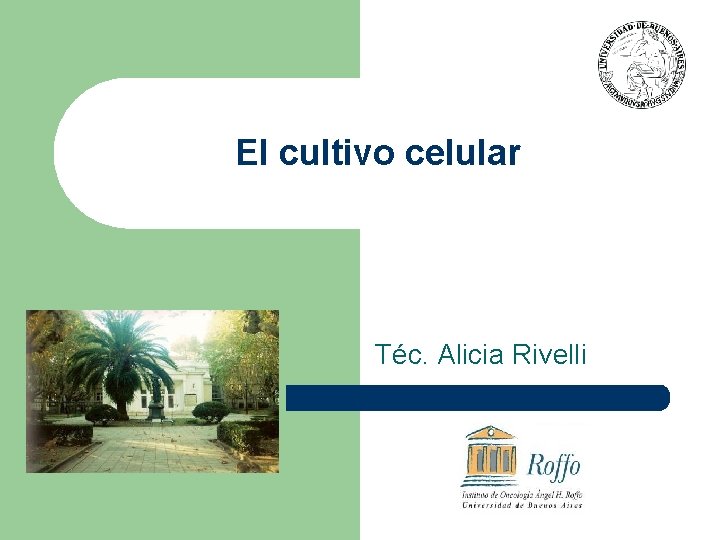 El cultivo celular Téc. Alicia Rivelli 