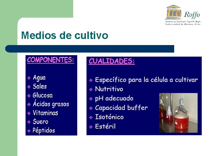 Medios de cultivo 